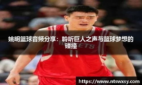 姚明篮球音频分享：聆听巨人之声与篮球梦想的碰撞